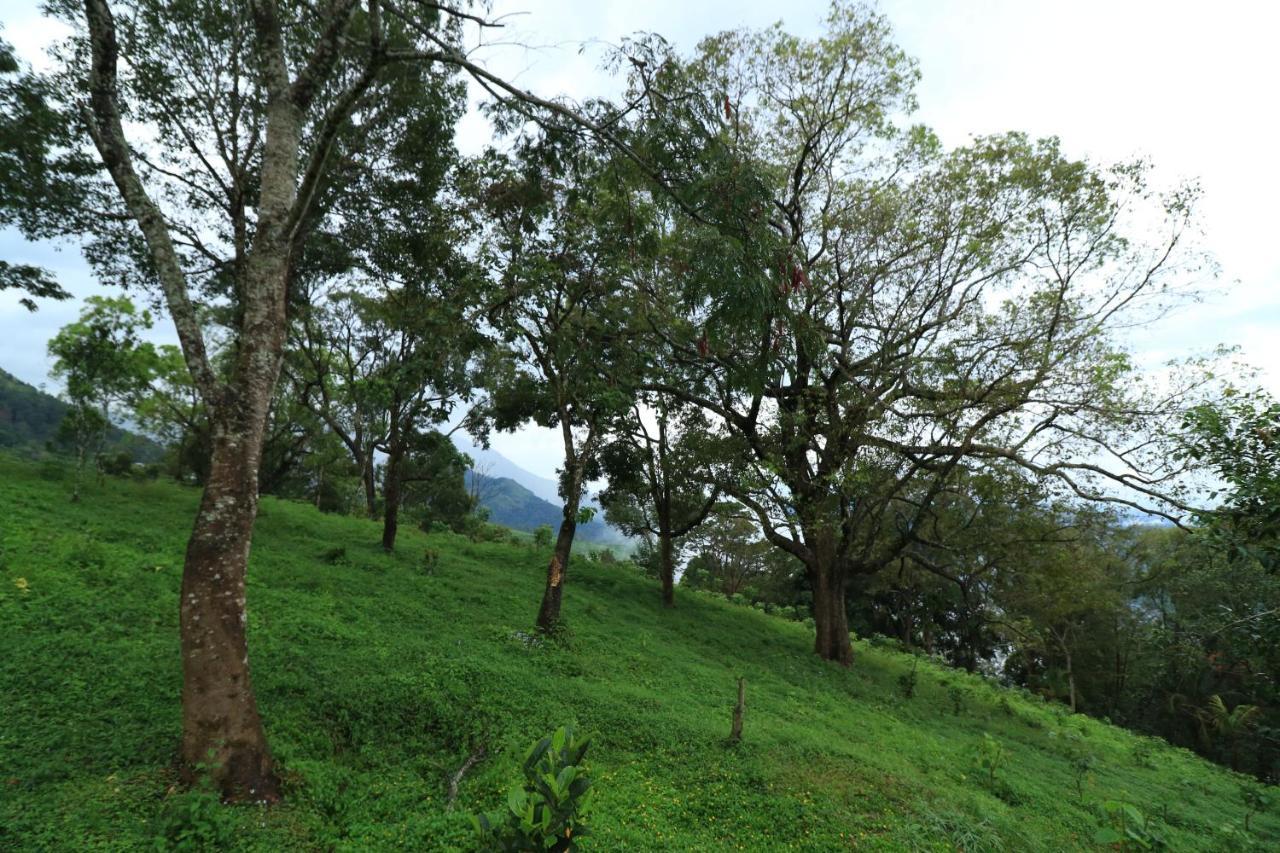 Ambady Estate Hotel Munnar Bagian luar foto
